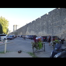 Die Stadtmauer